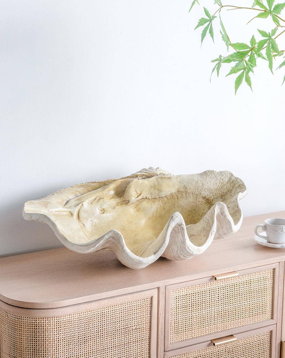 Clam Shell 25x16.5x8.5"