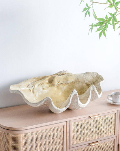 Clam Shell 25x16.5x8.5"