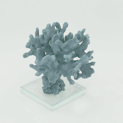 Indigo Ridge Coral