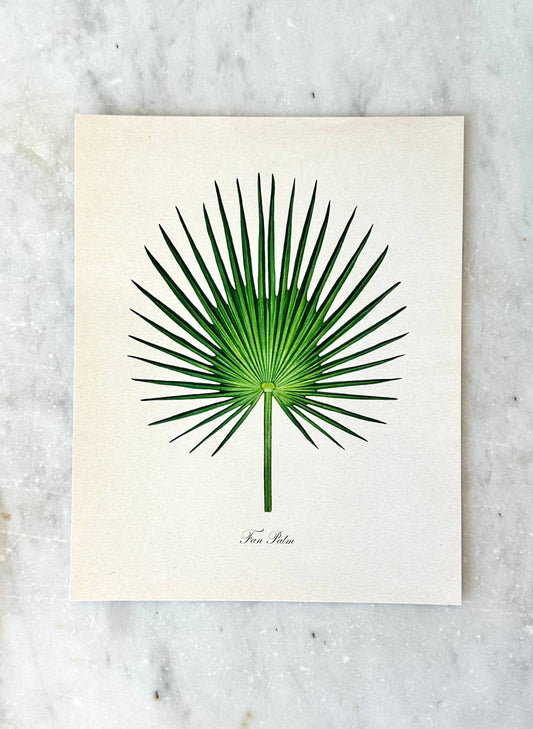Palm Watercolor Print 11x14"