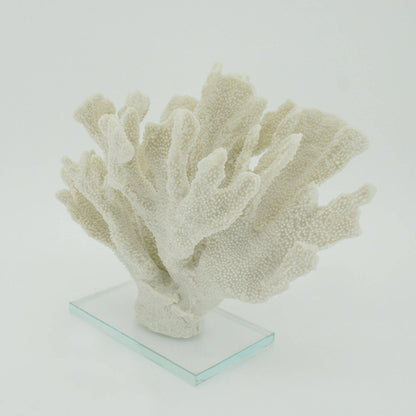 White Large Bearpaw Coral On Acrylic Base