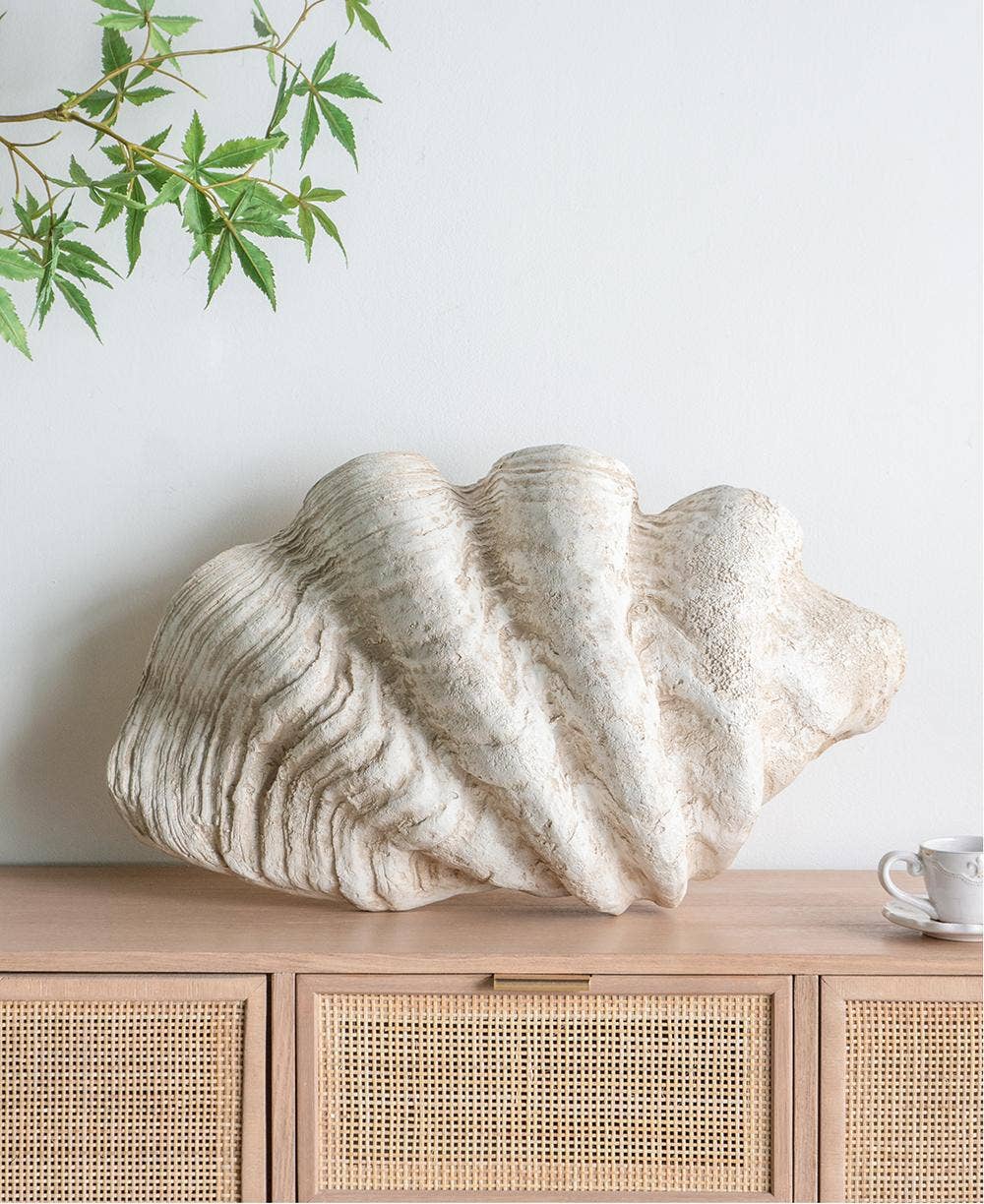 Clam Shell 25x16.5x8.5"