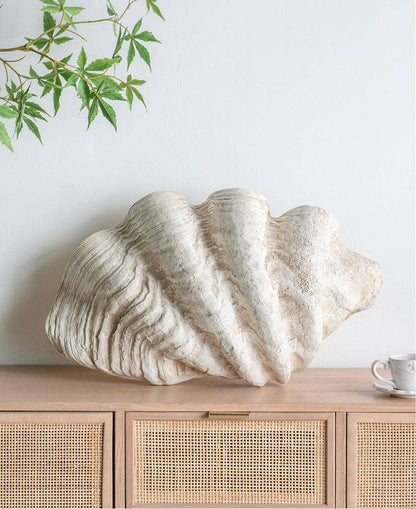 Clam Shell 25x16.5x8.5"