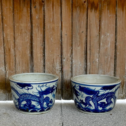 Pink Peonies in Dragon Cachepot