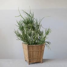 Load image into Gallery viewer, Bamboo Planter
