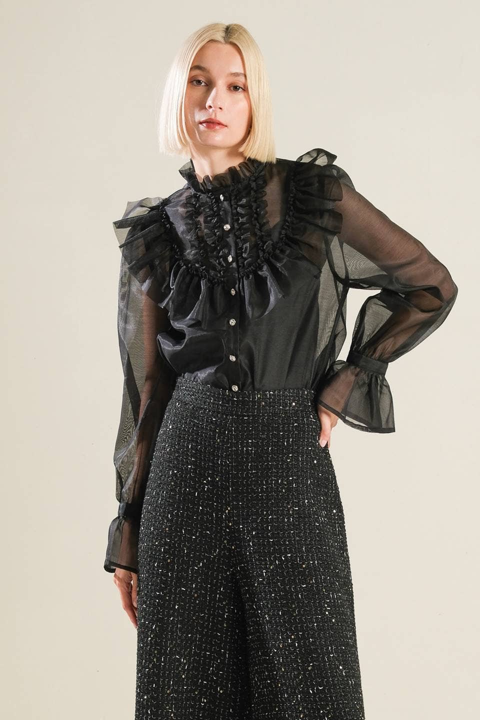 Black Ruffle Sheer Blouse