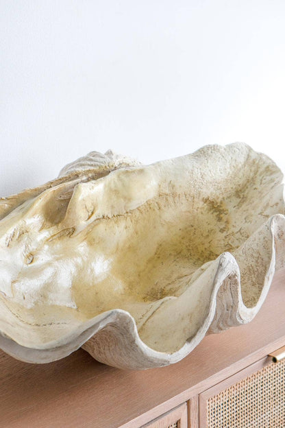 Clam Shell 25x16.5x8.5"