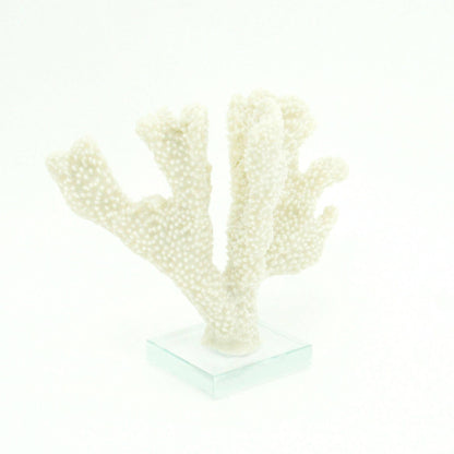 Stylophora Coral