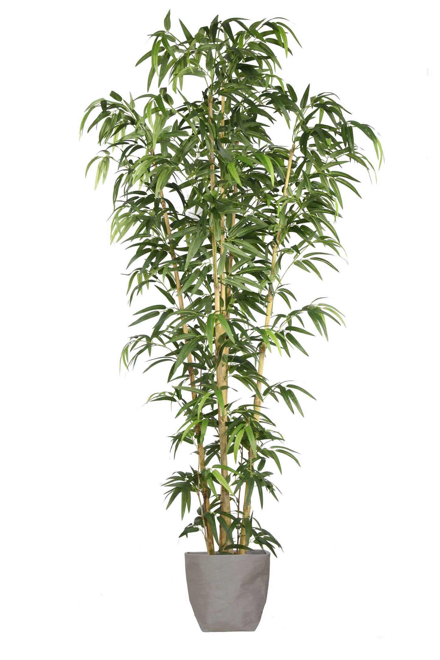 72" Tall Bamboo Tree