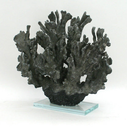 Large Grey Ridge Coral on Acrylic Base