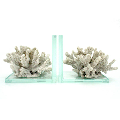 White Coral & Acrylic Bookends Set of 2