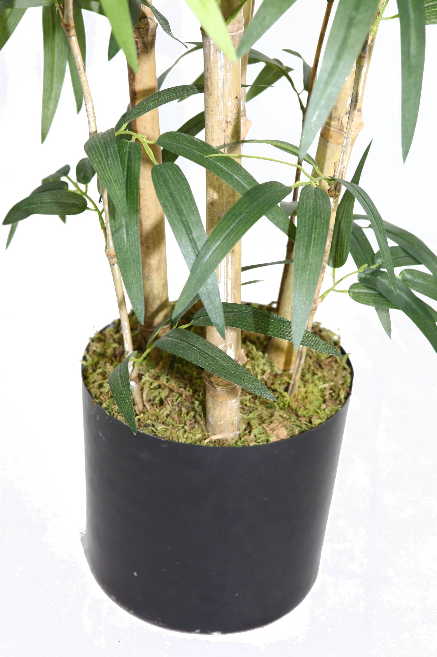 72" Tall Bamboo Tree