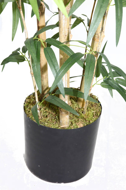 72" Tall Bamboo Tree