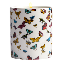 Load image into Gallery viewer, Belvedere Candle
