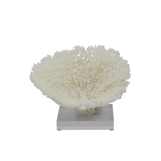 Table Coral on Acrylic Base