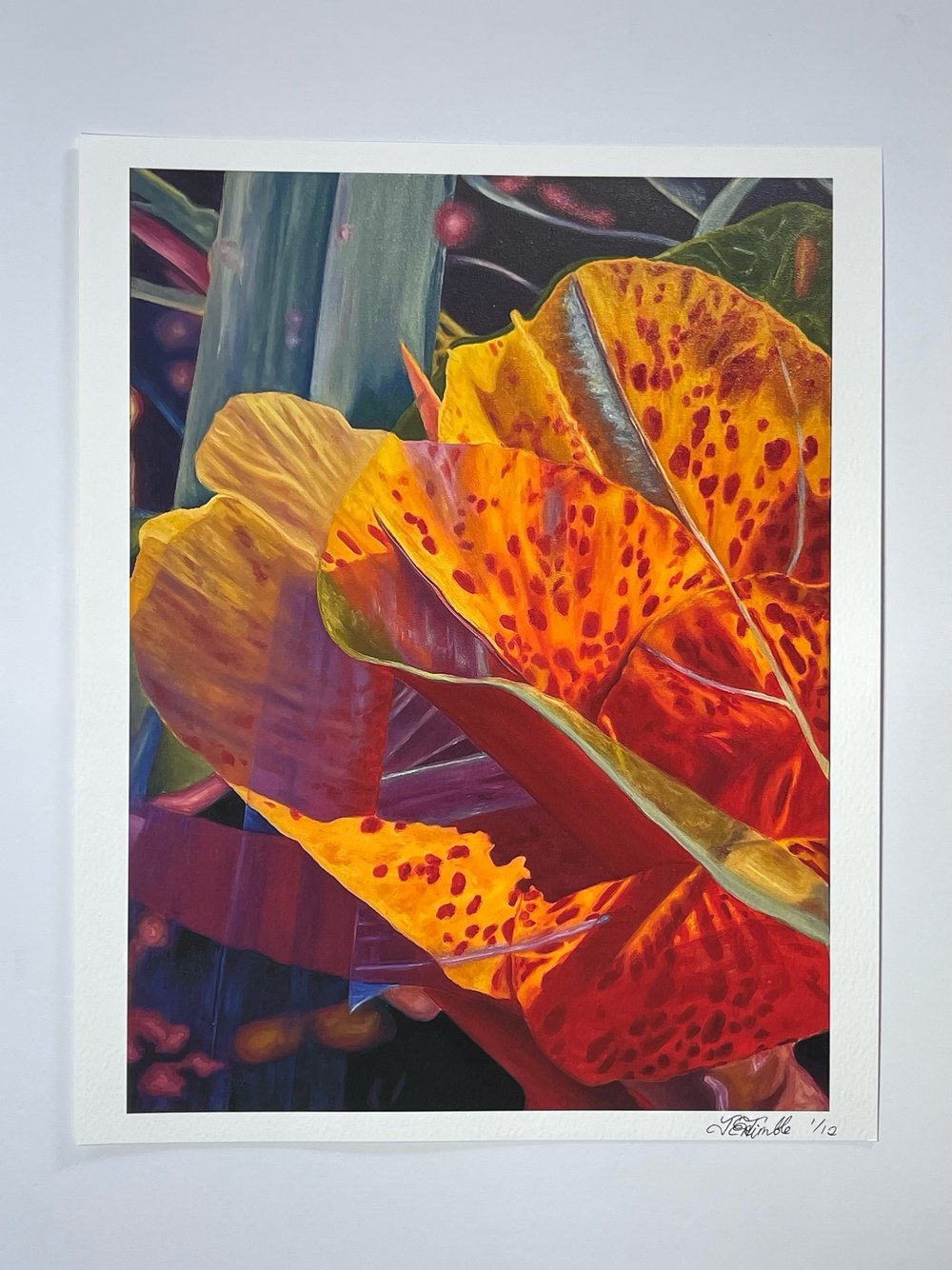 "Canna Lily" Giclee Fine Art Print