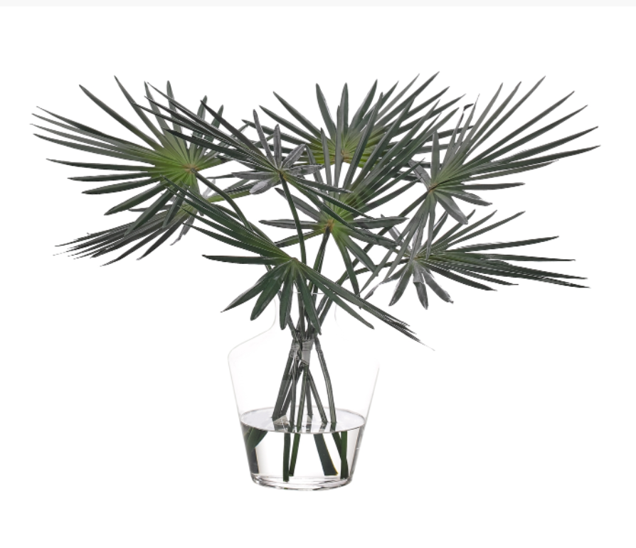 Fan Palm in Glass Vase