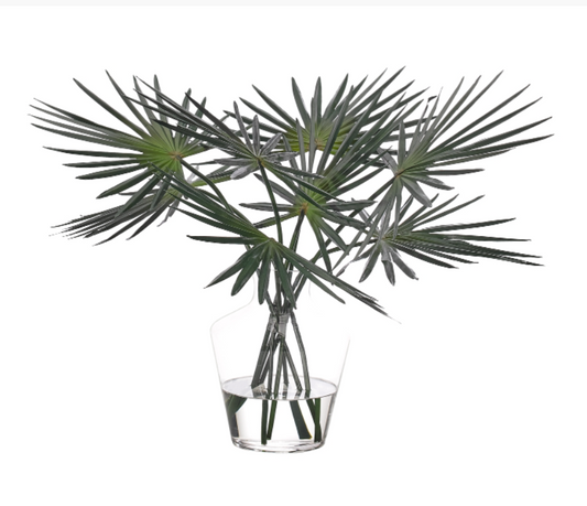 Fan Palm in Glass Vase