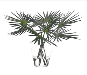 Fan Palm, Glass Vase, 30wx26dx21h